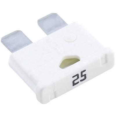 FUSIVEL FICHA MEDIO 25A BRANCO
